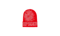 Rhinestone Web Beanie "Red" SP5der49