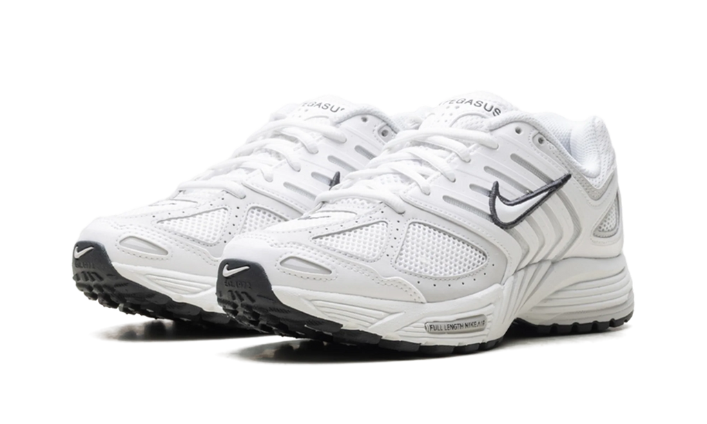 Air Pegasus 2005 WMNS "Summit White Photon Dust" HQ5718 103