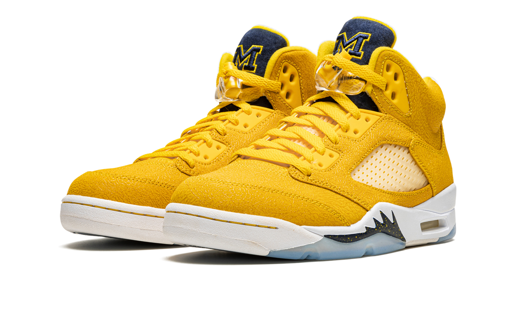 5 Retro PE "Michigan" DJ4954 997021