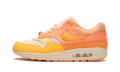 Air Max 1 "Puerto Rico - Orange Frost" FD6955 800