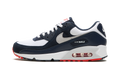 Air Max 90 "Navy / Crimson" DM0029 400