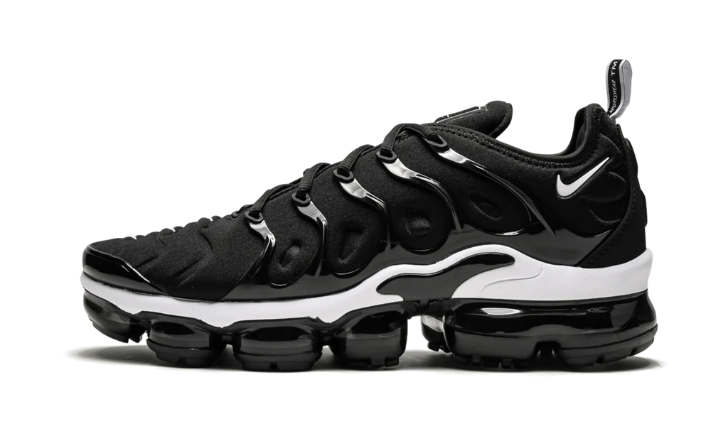 Air Vapormax Plus 924453 011