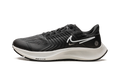 Zoom Pegasus 38 Shield "Black / Platinum Tint" DC4073 001