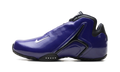 Zoom Hyperflight "Jason Williams" IV5768 500
