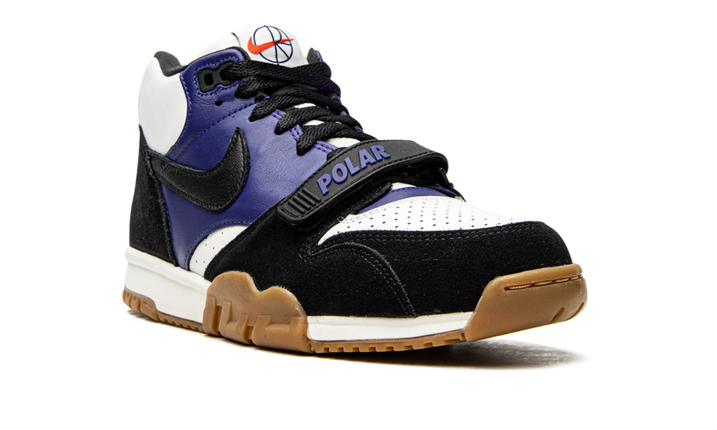 SB Air Trainer 1 "Polar Skate Company" CI6892 001
