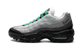 AIR MAX 95 NEXT NATURE WMNS "Stadium Green" DH8015 002