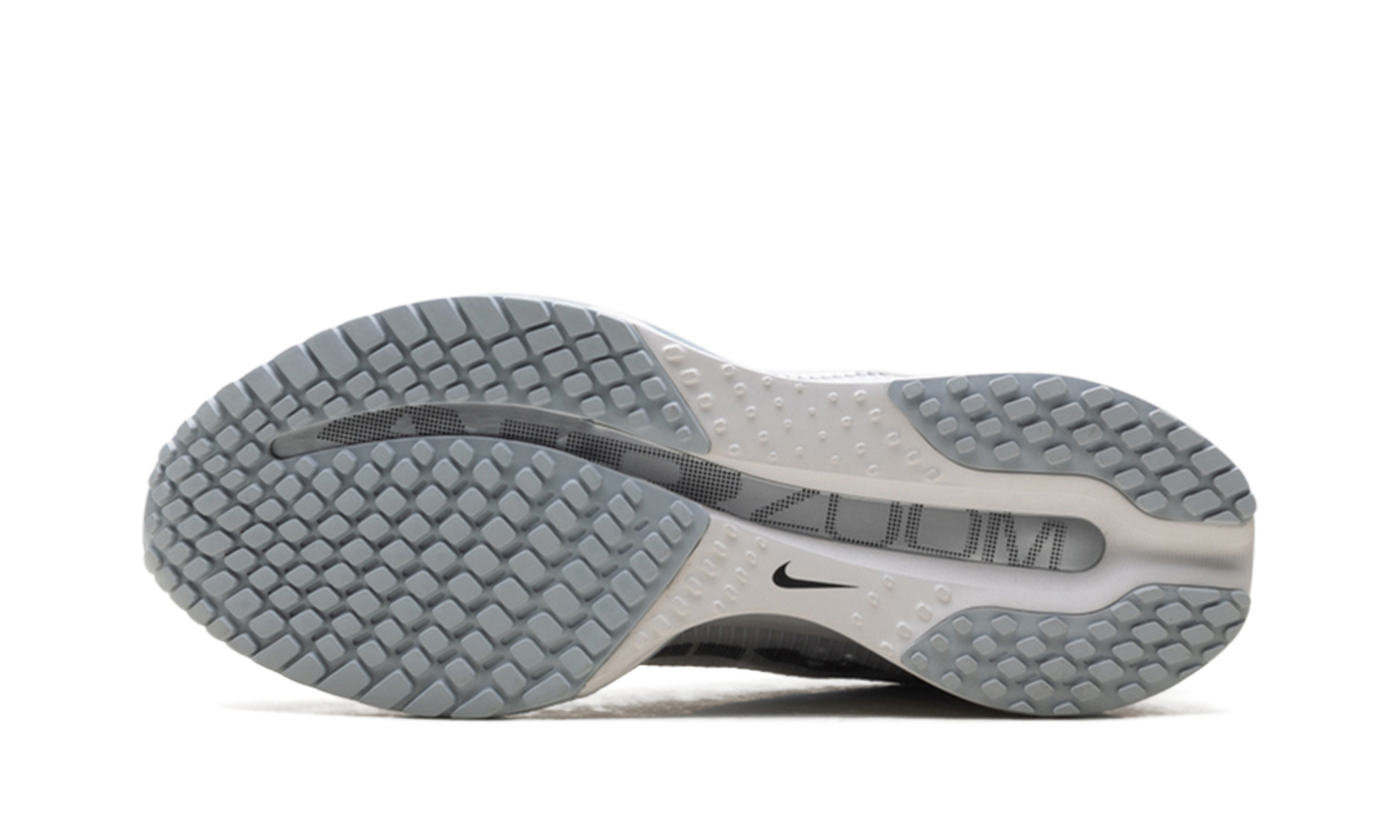 Pegasus Premium WMNS"Metallic Silver" HQ2593 005