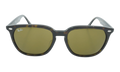 Square Sunglasses "HAVANA" RB4362F-902-73_55