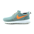 ROSHE RUN