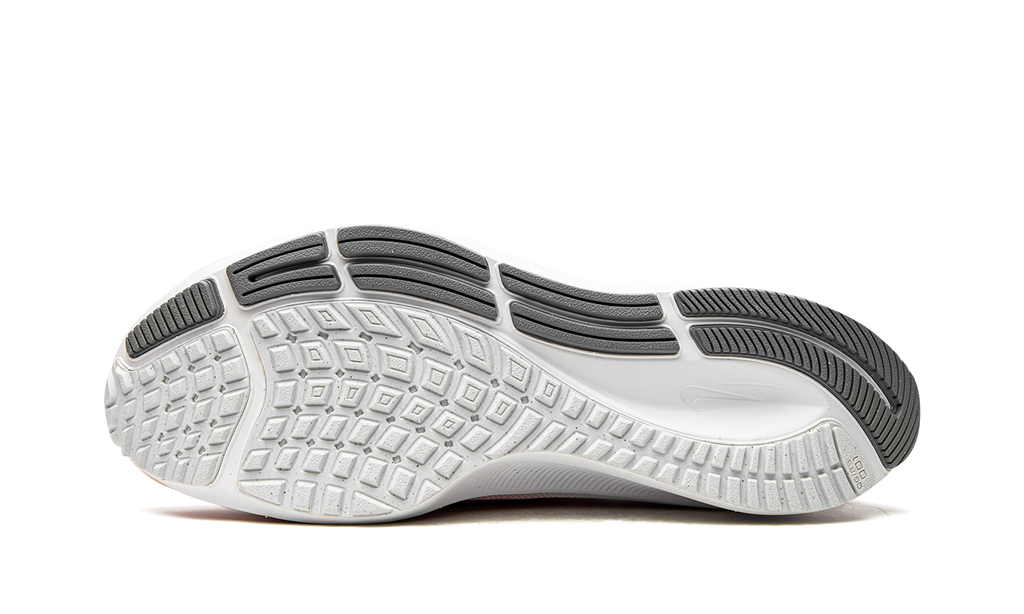 AIR ZOOM PEGASUS 37 MNS WMNS DH0129 600