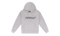 Big Bookish Skate Hoodie "Grey" OFW-MHDS-0212