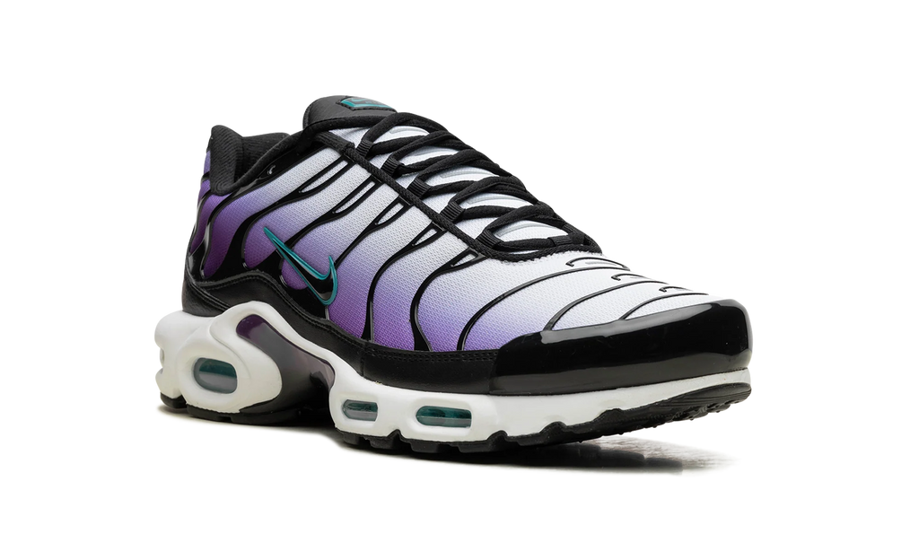 Air Max Plus "Reverse Grape" FQ2415 500