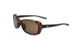 Breeze Sunglasses "Soft Tortoise Gold" CT8031 220
