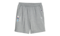 BMW MOTORSPORT ESS FLEECE SHORTS "Gray" 621311 03