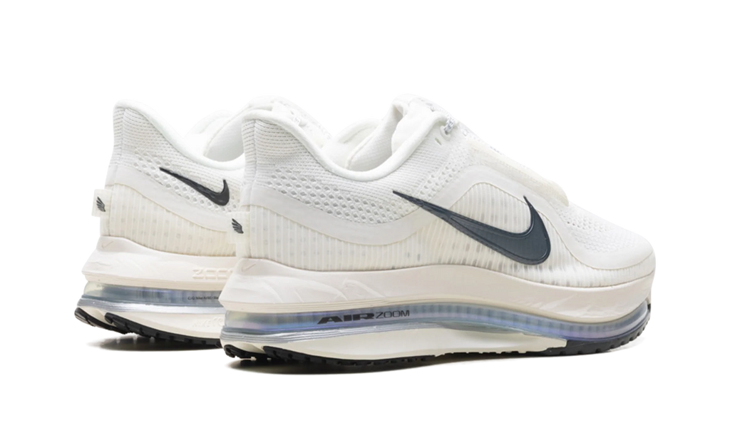 Air Zoom Pegasus Premium WMNS "Sail Off Noir" HQ2593 106
