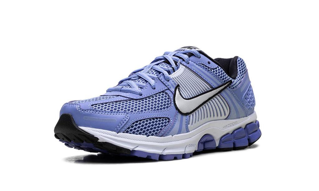 Zoom Vomero 5 Wmns"Royal" FJ2028-400
