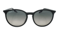 Square Sunglasses "Black" RB2204F-901-32_54