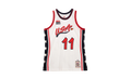 NBA Karl Malone Authentic Jersey "1996 USA Dream Team - White" AJY4CP20042 USAWHIT96KMA