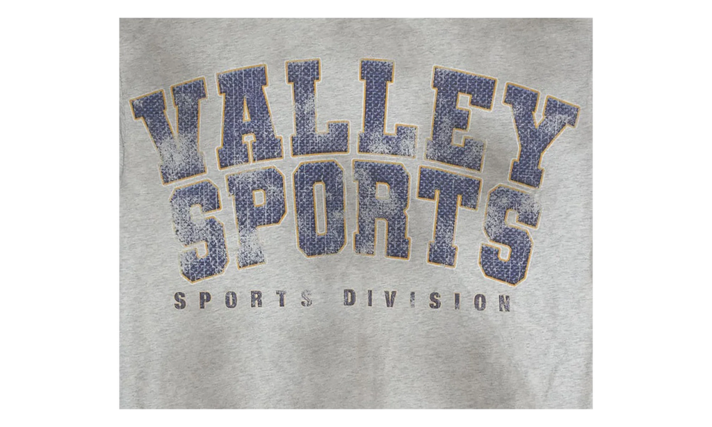 Valley Sports Division Tee "Grey" VAL144