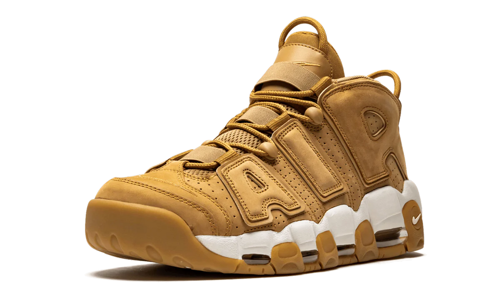 Air More Uptempo '96 PRM AA4060 200