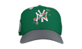 59FIFTY New York Yankees 1998 World Series Fitted Hat "Green / Floral" NE245