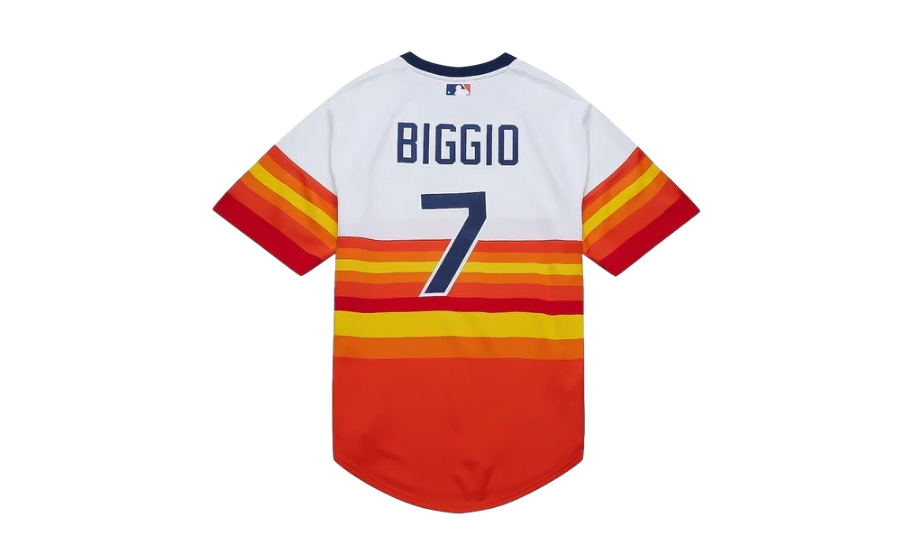 MLB Craig Biggio Alternate Jersey "2004 Houston Astros - White" AJY17186 HAS04CBGWHIT