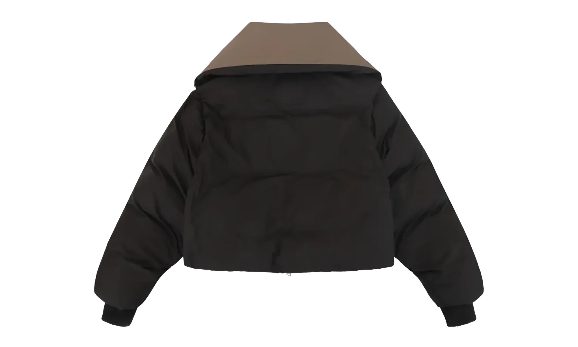 Kelly Jacket "Blackwood" ESSS26JA02016 6282
