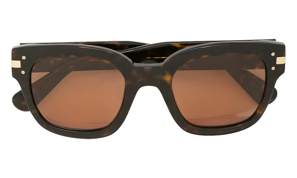 Classic Logo Sunglasses "Brown / Brown / Gold" XA41763AC BBG