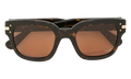 Classic Logo Sunglasses "Brown / Brown / Gold" XA41763AC BBG