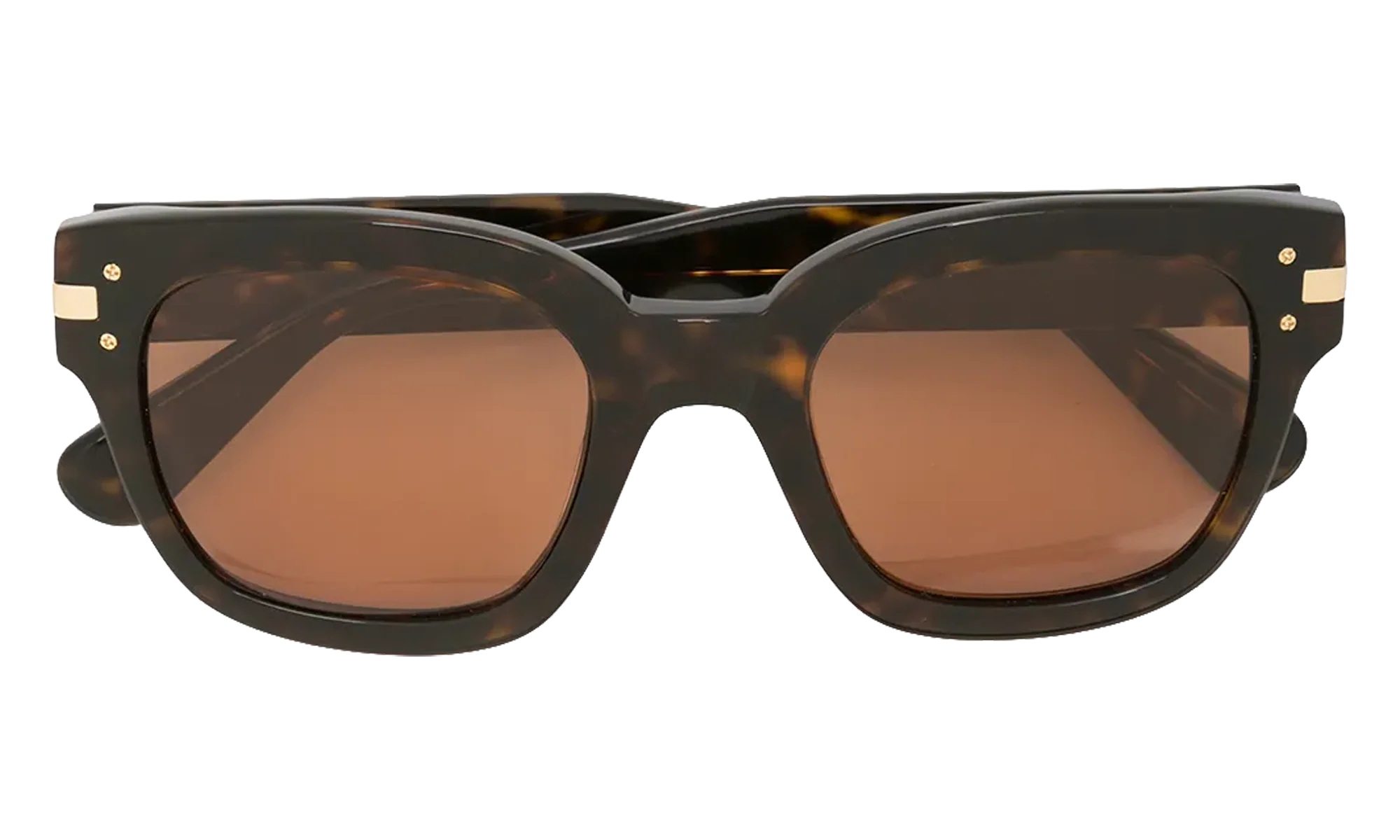Classic Logo Sunglasses "Brown / Brown / Gold" XA41763AC BBG