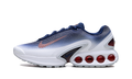 Air Max Dn "Team USA" FV2250 100