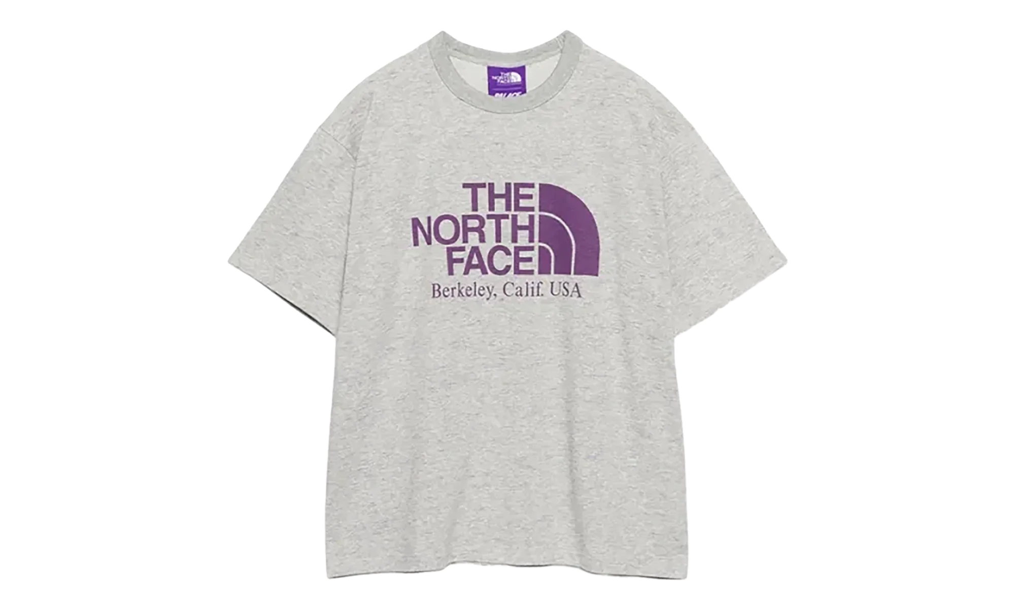 The North Face Purple Label Field Graphic Tee "Grey" p0116