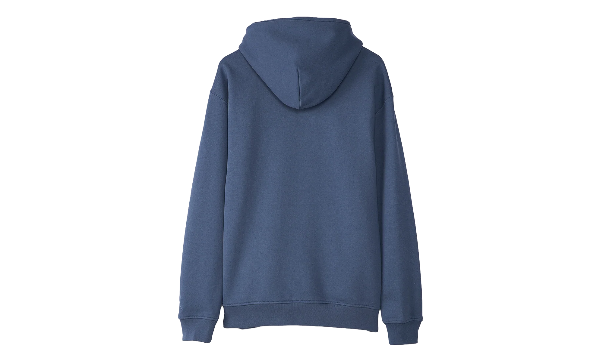 Wordmark Fleece Hoodie "Blue" FJ1966 491