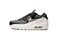 Air Max 90 LTR GS DJ0414 001