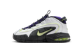 Air Max Penny GS "Penny Story" FZ3546 100