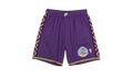 NBA Swingman Shorts "1995 All-Star East - Purple" SMSHCP19220 ASEPURP95