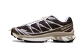 XT-6 "Earth Brown Walnut" L49209900