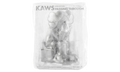 Kaws Passing Through Companion "2018 Open Edition"