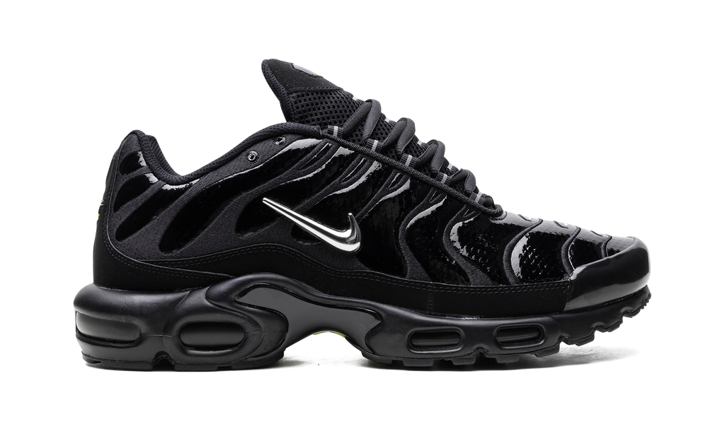 Air Max Plus "Metallic Black" FJ2591 001