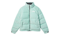 2000 Polar Nuptse Jacket "Muted Pine" NF0A88XN10C