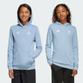 Kids' adidas Argentina Anniversary DNA Hoodie Kids