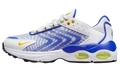 Air Max TW GS "Racerblue" DQ0296 100
