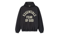 Campus 90s Hoodie "Faded Black" 192SP266701F
