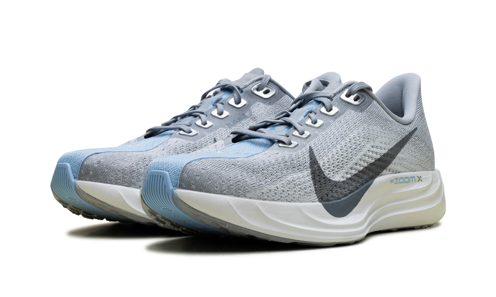 ZoomX Pegasus Plus Wmns"Grey" FQ7261-004