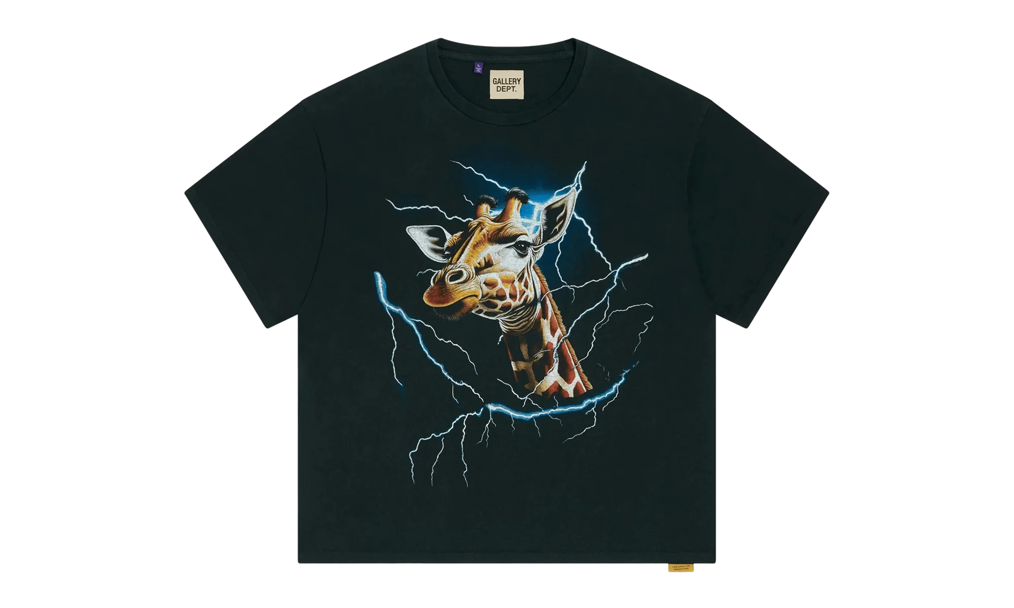 Theme Park Short Sleeve Tee Shirt "Black Blue Multi" GD105