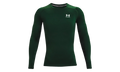 HeatGear Compression Long Sleeve "Forest Green / White" 1361524 301