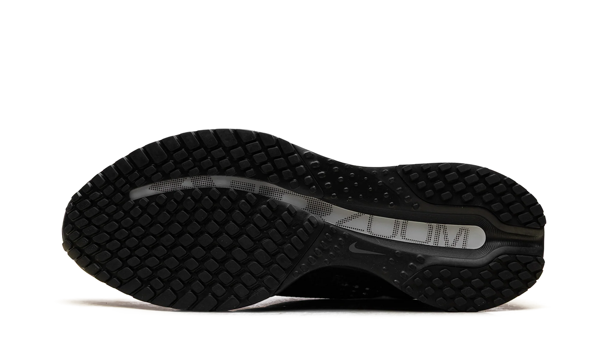 Nike Pegasus Premium "Realtree" IF9630 001