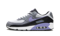 Air Max 90 "Light Thistle" DM0029 014