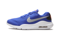 Air Max Oketo GS
