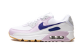 AIR MAX 90 WMNS DX3316 100